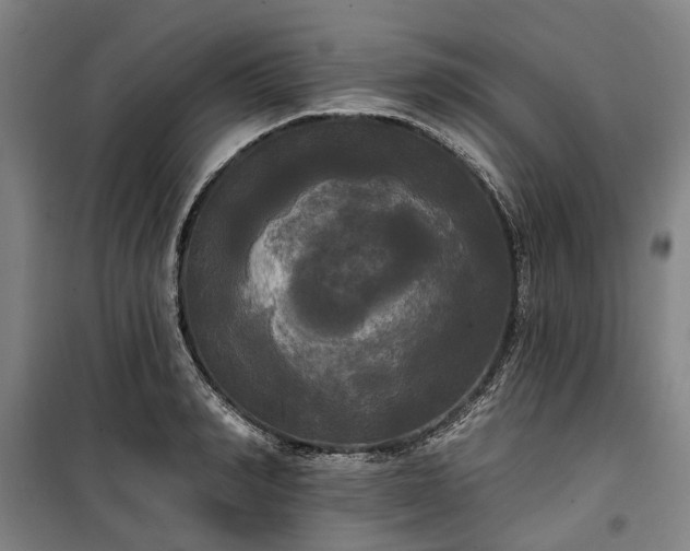 X0000100330990200806121123