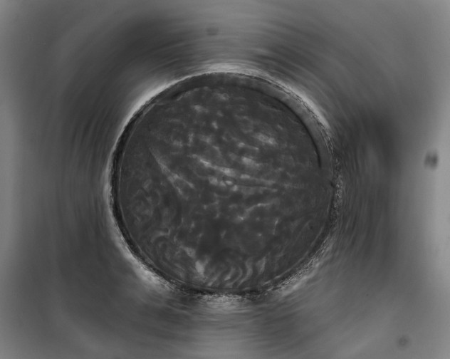 X0000100330991200806121123