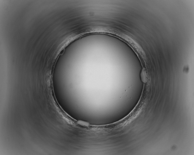 X0000100330993200806121123