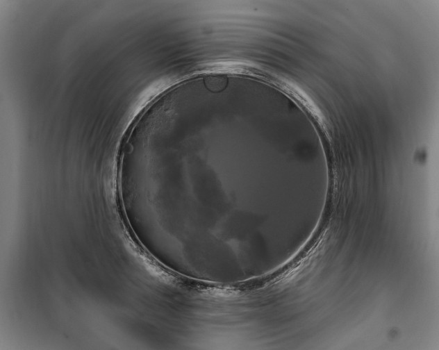 X0000100330994200806121123