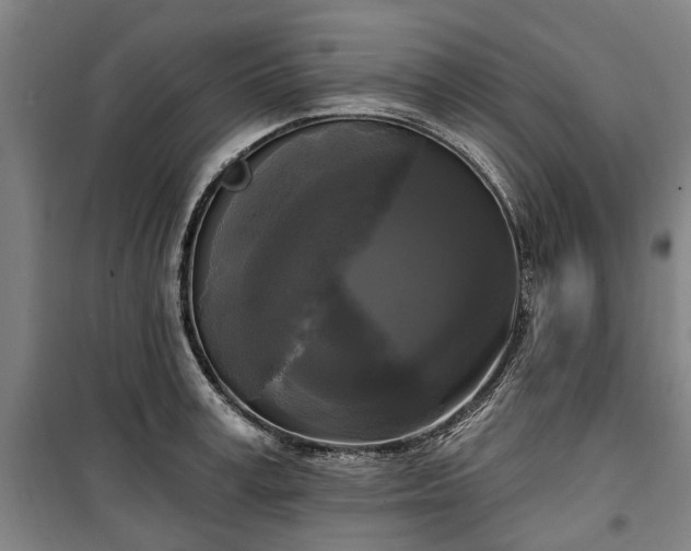 X0000100330995200806121123