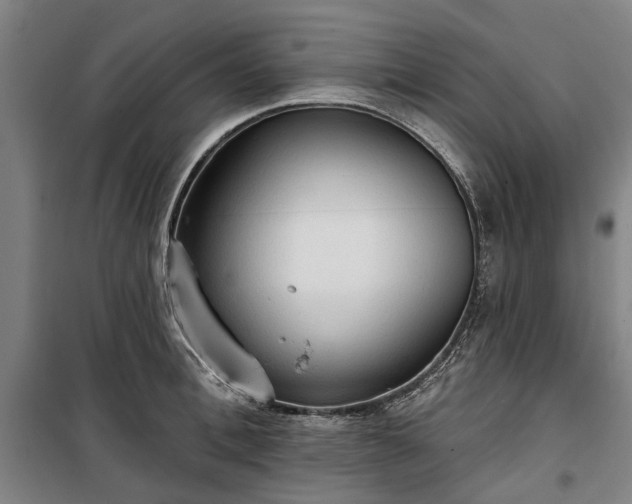 X0000100330996200806121123