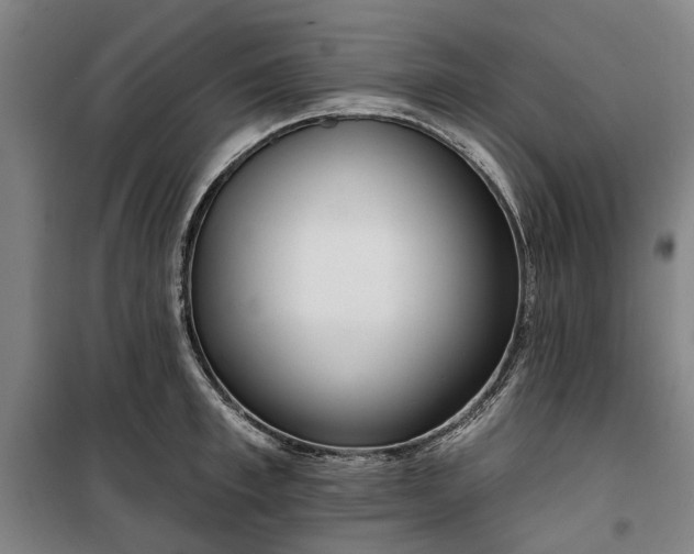 X0000100330997200806121123