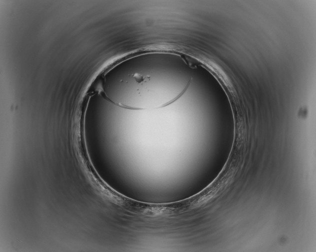 X0000100331000200806121123