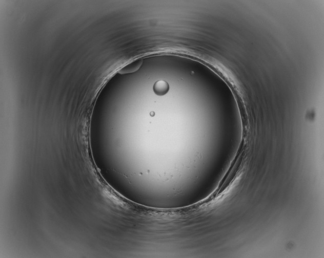 X0000100331001200806121123