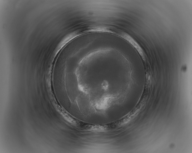 X0000100331002200806121123