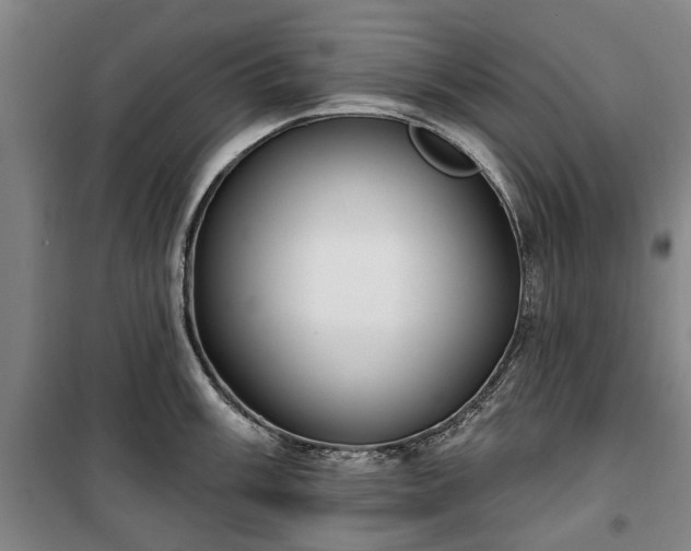 X0000100331003200806121123