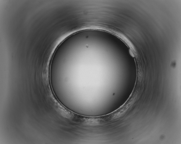 X0000100331004200806121123