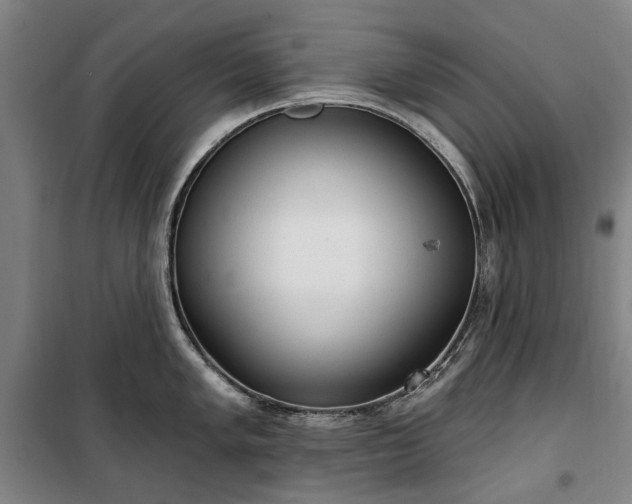 X0000100331005200806121123