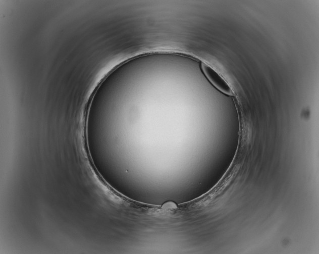 X0000100331006200806121123