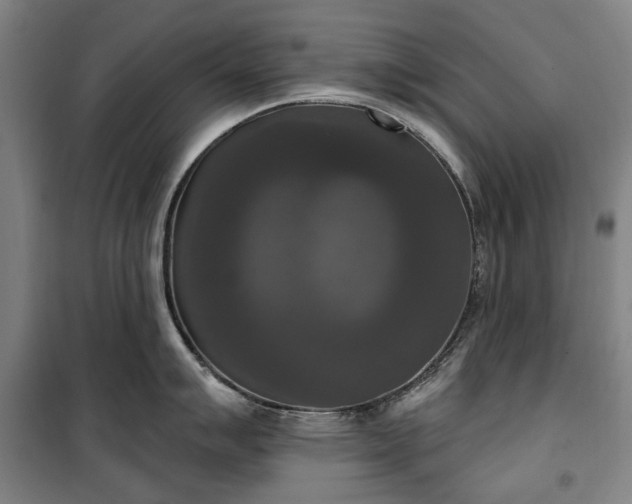 X0000100331007200806121123