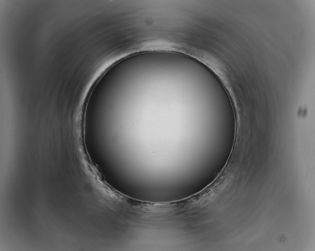 X0000100331008200806121123