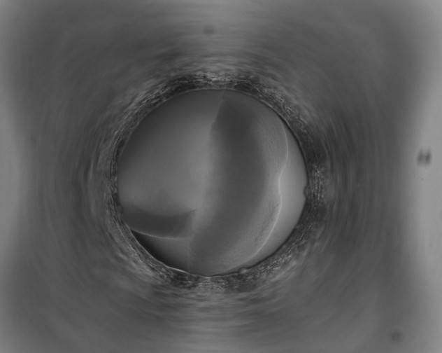 X0000100331009200806121122