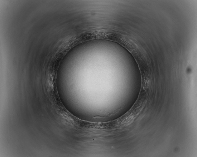 X0000100331010200806121122