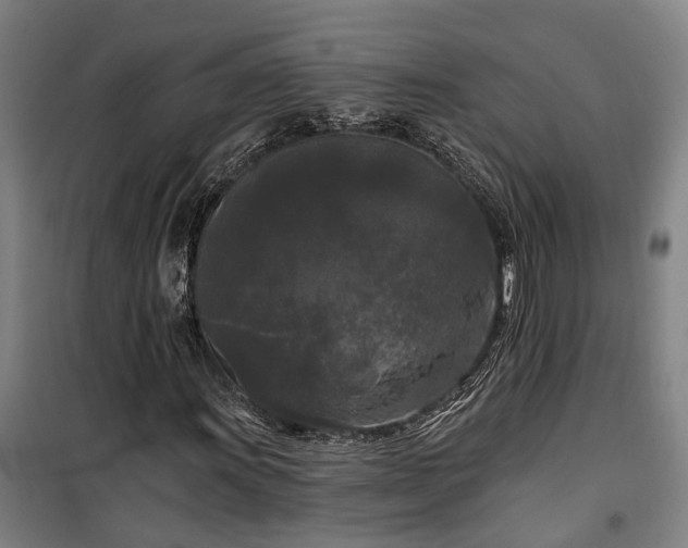 X0000100331011200806121122