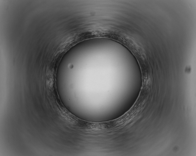 X0000100331012200806121122