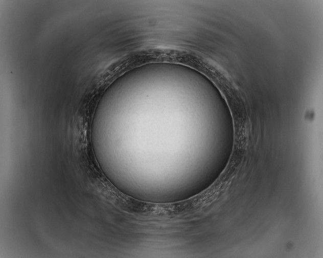 X0000100331013200806121122