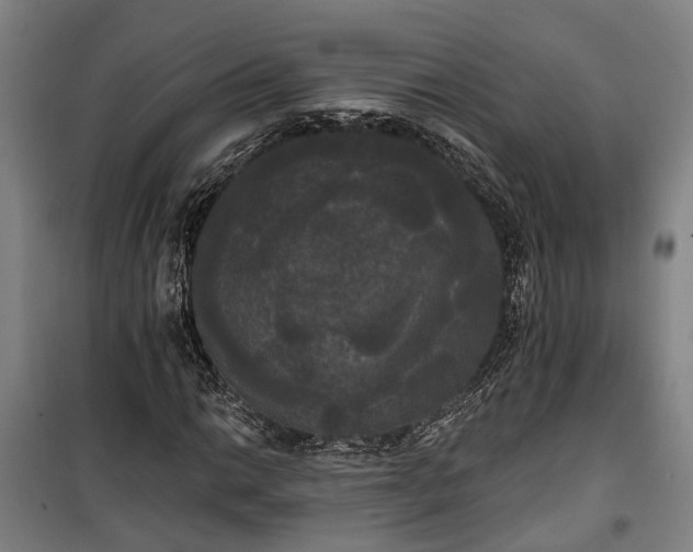 X0000100331014200806121122