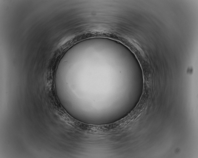 X0000100331015200806121122