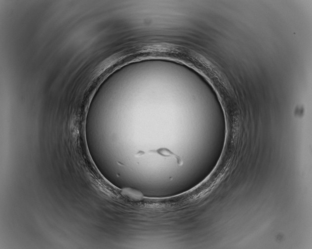 X0000100331017200806121122