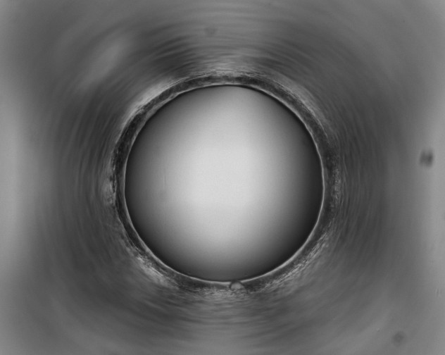 X0000100331018200806121122