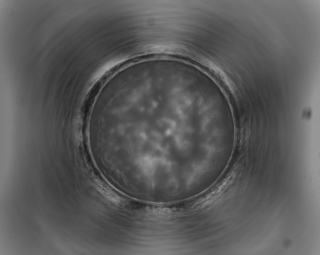 X0000100331019200806121122