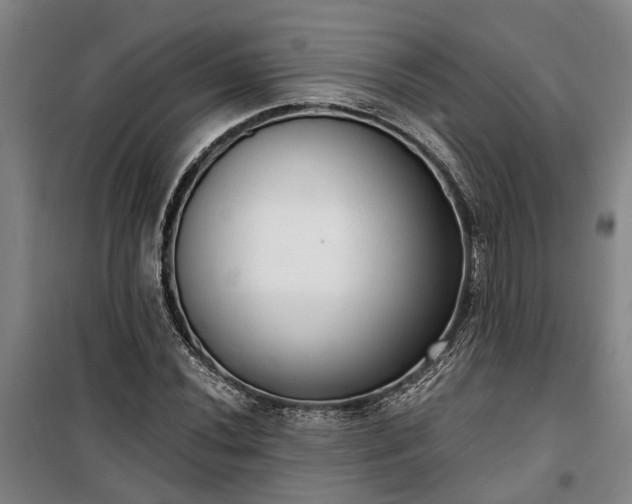 X0000100331020200806121122