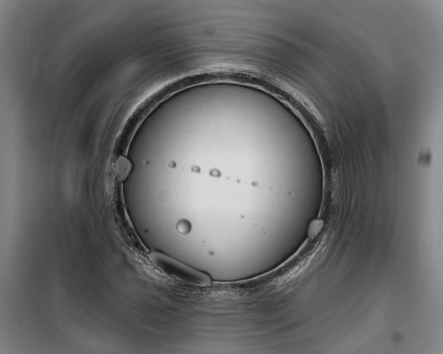 X0000100331021200806121123