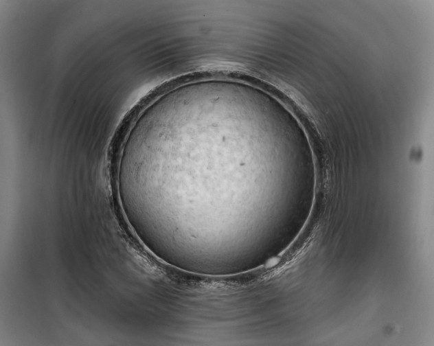 X0000100331022200806121123