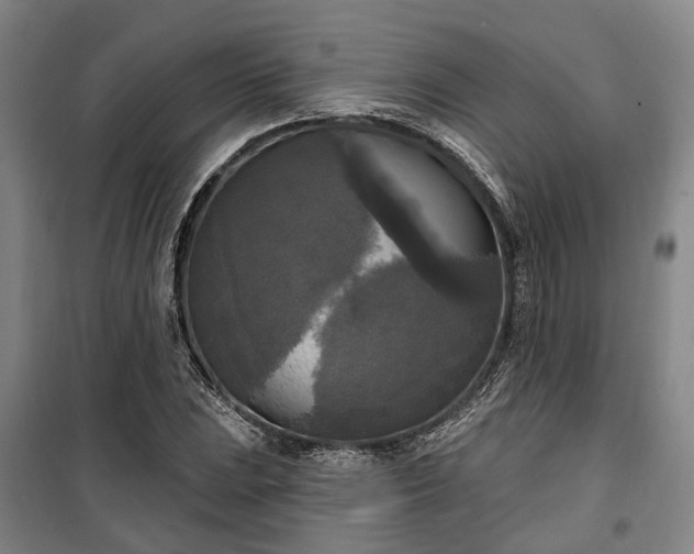 X0000100331023200806121123