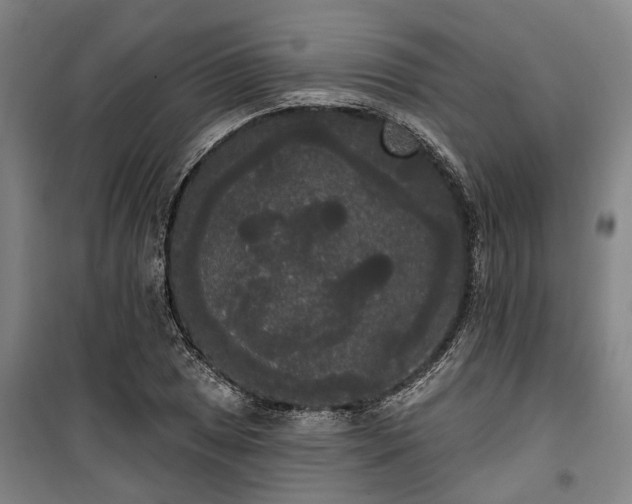 X0000100331025200806121123