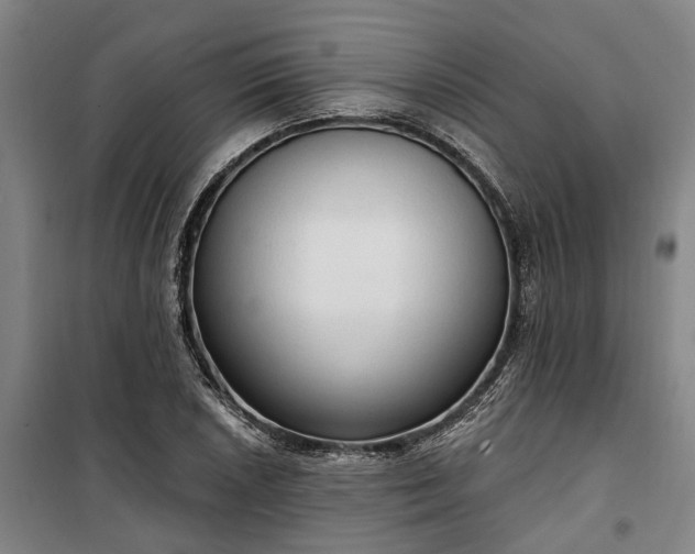 X0000100331026200806121123