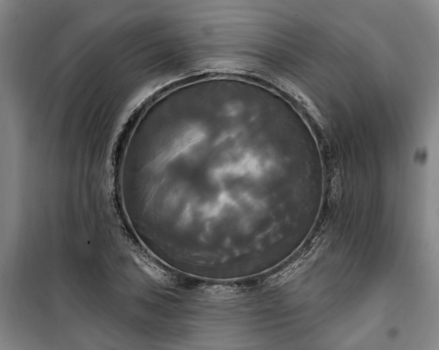 X0000100331027200806121123