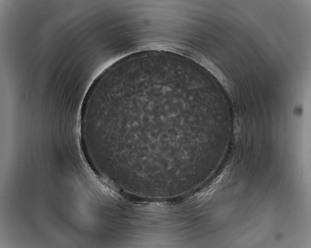 X0000100331028200806121123