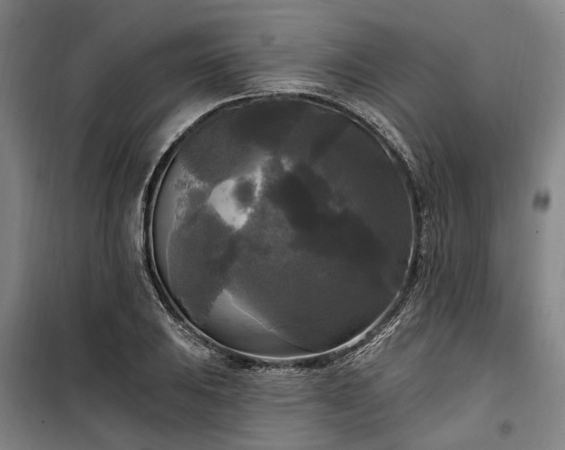 X0000100331031200806121123