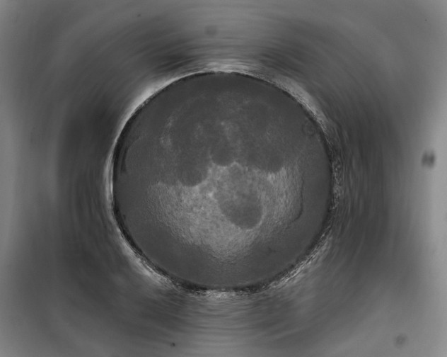 X0000100331032200806121123