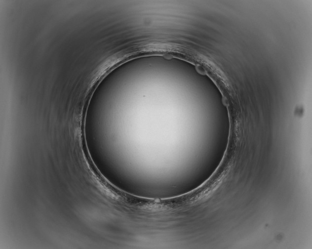 X0000100331033200806121123