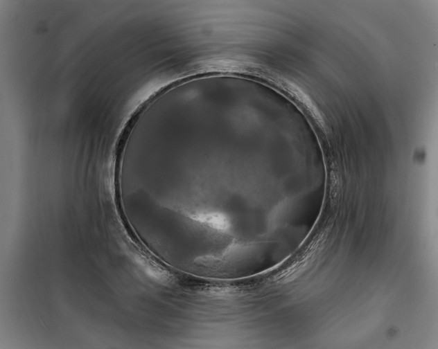 X0000100331035200806121123