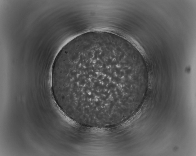 X0000100331036200806121123