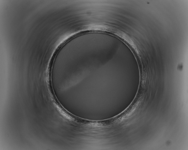 X0000100331037200806121123