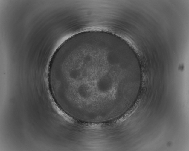 X0000100331038200806121123