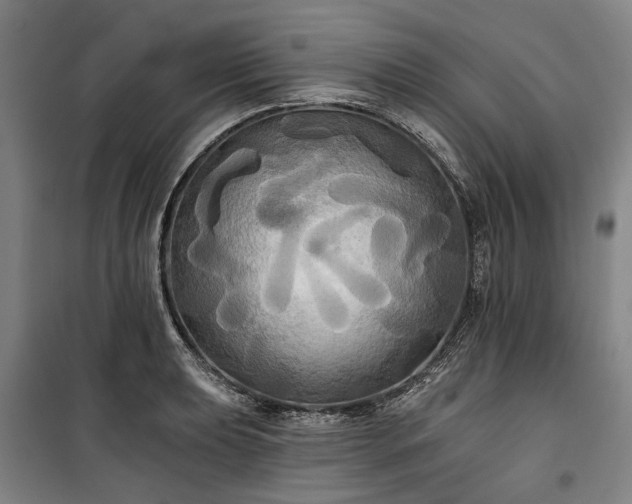 X0000100331039200806121123