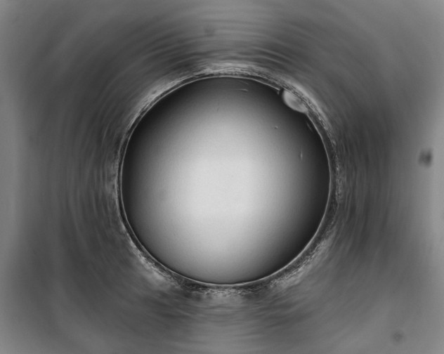 X0000100331041200806121123