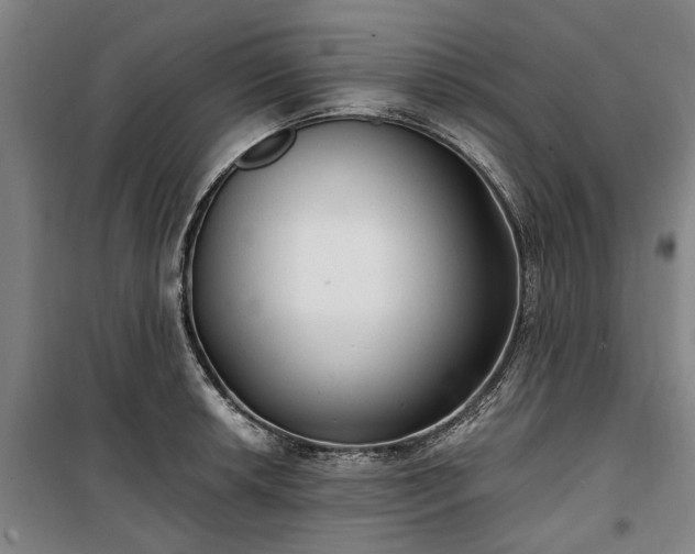 X0000100331042200806121123