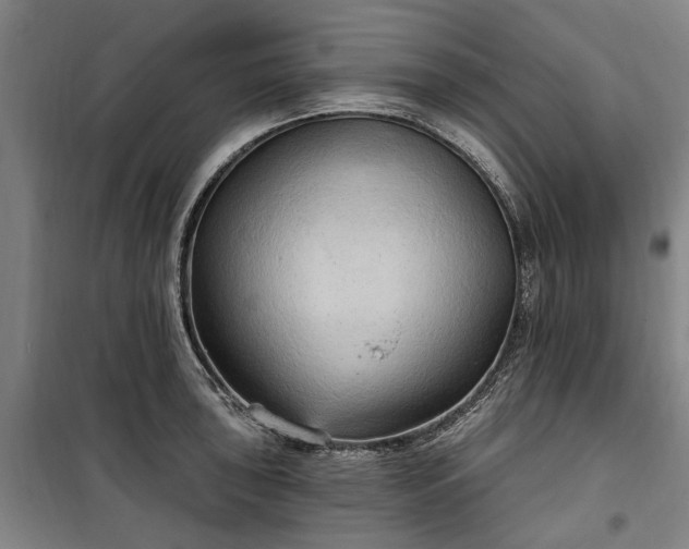 X0000100331043200806121123