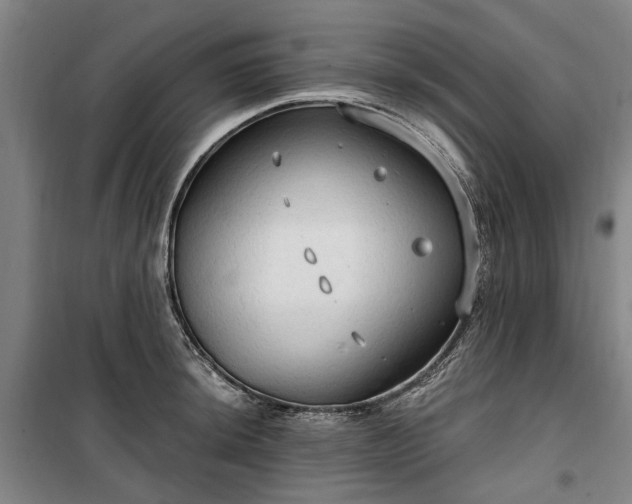 X0000100331044200806121123