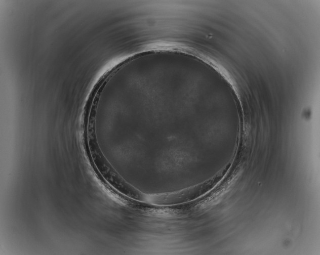 X0000100331045200806121123