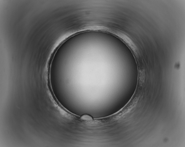 X0000100331046200806121123