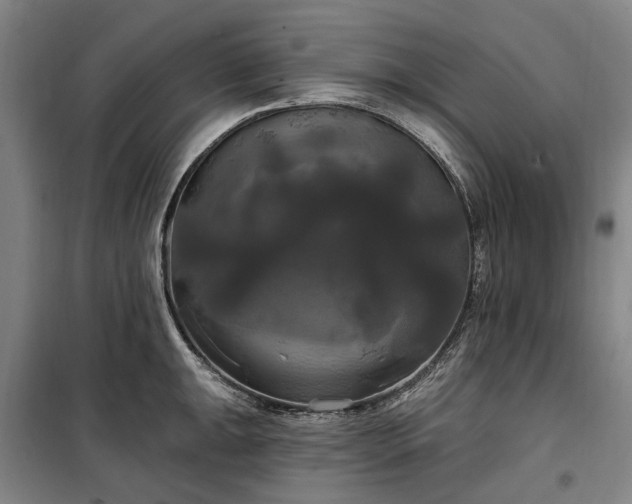 X0000100331047200806121123