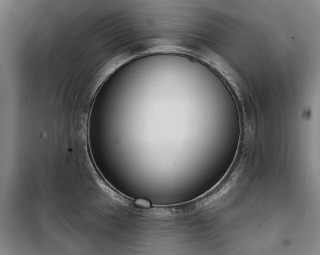 X0000100331049200806121123